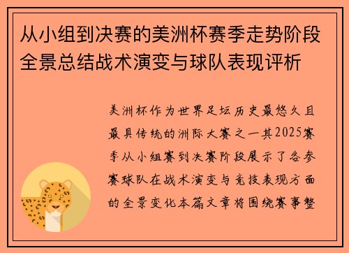 从小组到决赛的美洲杯赛季走势阶段全景总结战术演变与球队表现评析