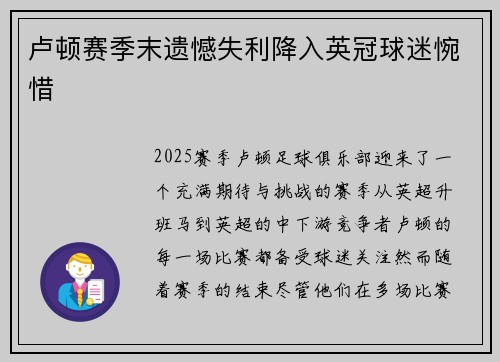 卢顿赛季末遗憾失利降入英冠球迷惋惜